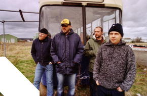 Bandfoto von Palomine